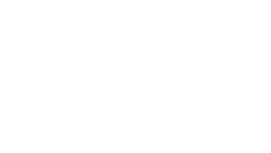 Logo PREEM
